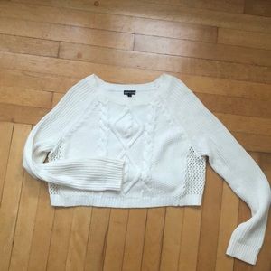 Express Vintage crop sweater